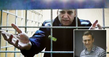 Kremlin slams claims it killed top Putin critic Navalny