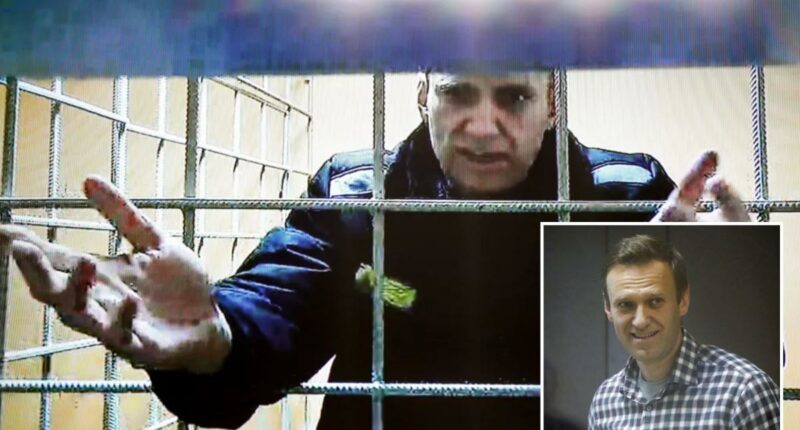 Kremlin slams claims it killed top Putin critic Navalny