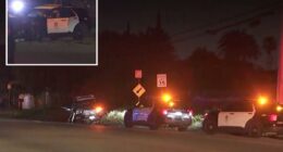 LA cops fighting for their lives after suspected drunk driver crash