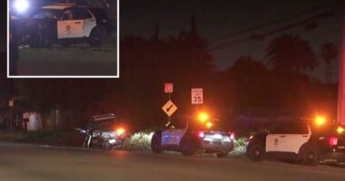 LA cops fighting for their lives after suspected drunk driver crash