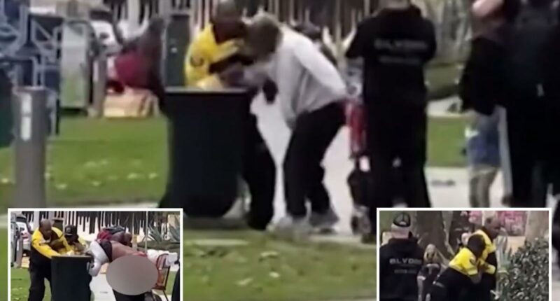 LA security guard caught on camera pummeling homeless man