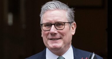 Labour opens door to trans children in primary schools