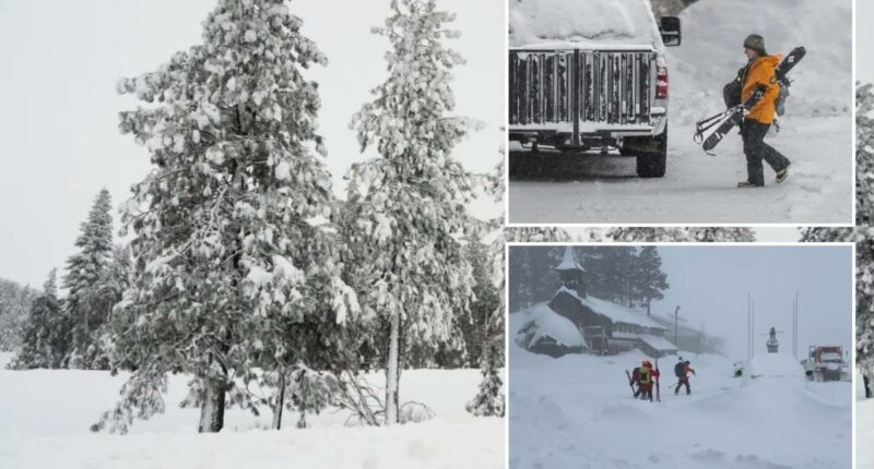 Lake Tahoe avalanche victims allegedly took most dangerous escape route