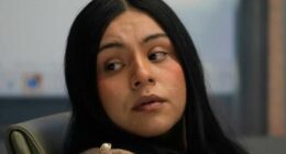 Lawyers of Chicago woman shot by federal agents say documents show how DHS lies about investigations