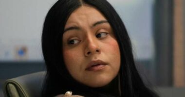 Lawyers of Chicago woman shot by federal agents say documents show how DHS lies about investigations