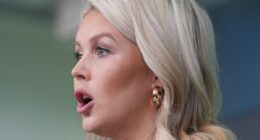 Leavitt blames DEMOCRATS for Trump's 'third assassination attempt'