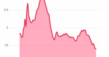 Let employees WFH to fix Britain's declining birth rates - report