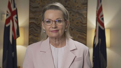 Ley insists she's 'up for the job' after Liberal senator unloads