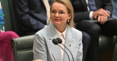 Liberals bloodbath begins