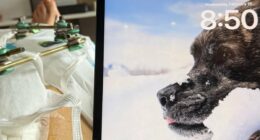 Lindsey Vonn shares nervous post as she awaits fifth surgery on broken leg after Olympic fall and dog's death