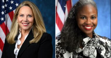 Long Island Rep Laura Gillen faces uphill battle in Primary after voting for ICE funding