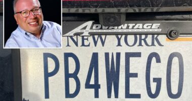 Long Island granddad peeved after PB4WEGO license plate revoked by DMV