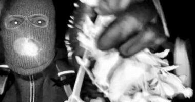 Look at Nancy Guthrie masked suspect's only possible escape routes