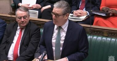 Lords TRASHES PM's claim he couldn't stop ex-spin doctor's peerage