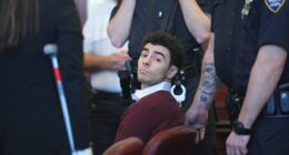 Luigi Mangione escapes federal death penalty after federal prosecutors decline to appeal judge's ruling