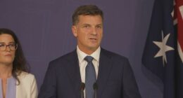 Opposition Leader Angus Taylor has unveiled his new shadow ministry this afternoon, bringing back the Nationals and exiled members.