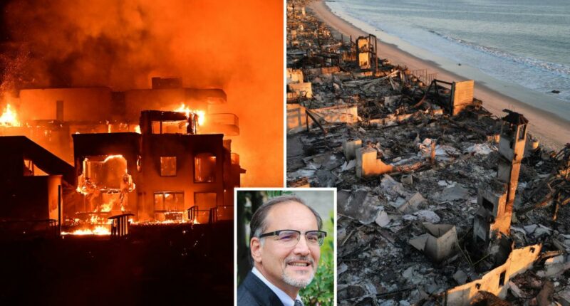 Malibu sues LA over Palisades fire: 'a hollowed out community'
