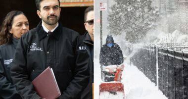 Mamdani blasted for requiring 5 forms of ID to shovel while DSA opposes Voter ID