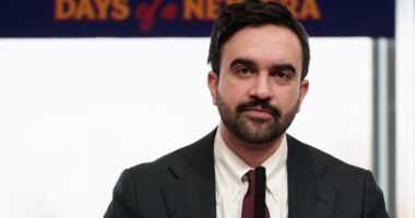 Mamdani calls on DA to not prosecute mentally ill man shot by police during knife attack