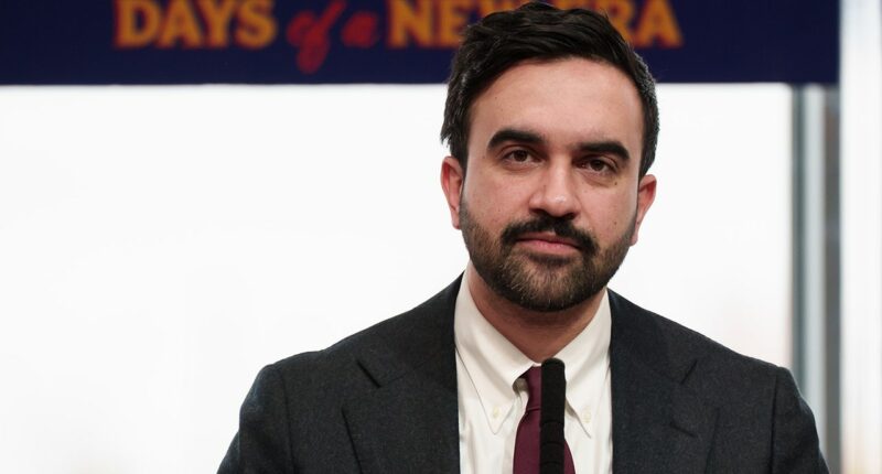 Mamdani calls on DA to not prosecute mentally ill man shot by police during knife attack