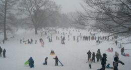 Mamdani must bring back our snow days!