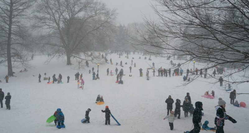 Mamdani must bring back our snow days!