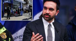 Mamdani wants NYC to spend $70M on 'feasibility study' for city-run grocery store pet project: sources