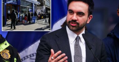 Mamdani wants NYC to spend $70M on 'feasibility study' for city-run grocery store pet project: sources