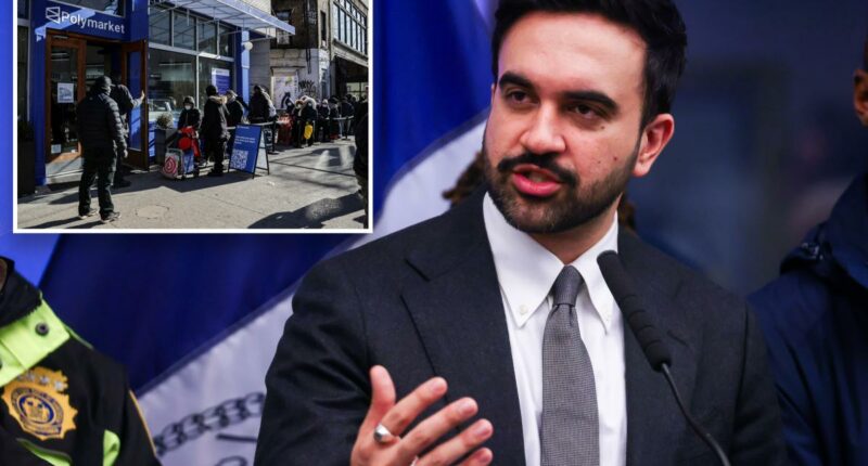 Mamdani wants NYC to spend $70M on 'feasibility study' for city-run grocery store pet project: sources