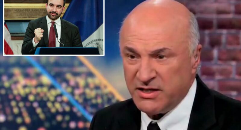 Mamdani's tax hike will land him 'Real Estate Agent of the Year' after inevitable exodus: Kevin O'Leary