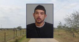 Man accused of fatally stabbing brother in the back may claim self-defense, lawyer says