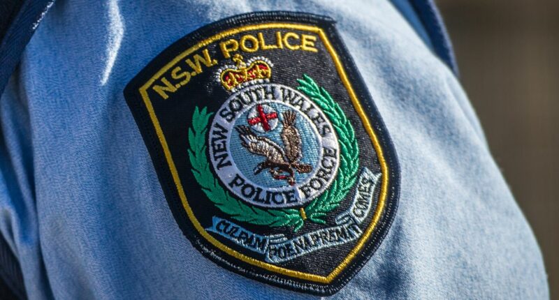Man allegedly launched fireworks at police in Sydney
