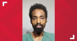 Man arrested for murder after mother found dead at Hidden Hills home