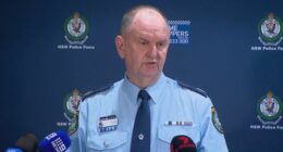 NSW Police Assistant Commisioner Brett McFadden could not say why police wanted to stop the man.