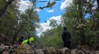 A man has been found alive after surviving almost four days without any food, water or supplies in rugged bushland in Tasmania.