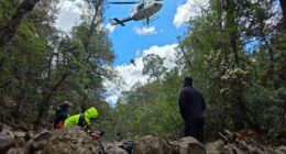 A man has been found alive after surviving almost four days without any food, water or supplies in rugged bushland in Tasmania.