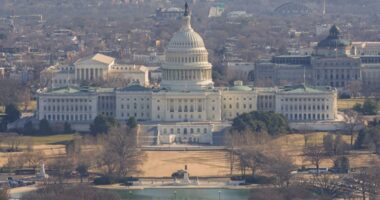 Man running toward US Capitol holding shotgun arrested by police