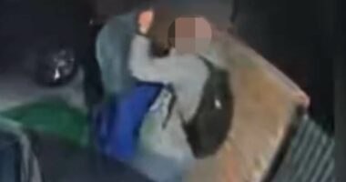 Man wearing similar backpack to Nancy Guthrie captor seen in footage