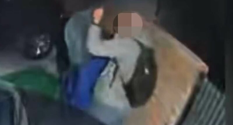 Man wearing similar backpack to Nancy Guthrie captor seen in footage