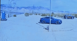 Dawson Maloney mugshot