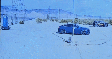 Dawson Maloney mugshot