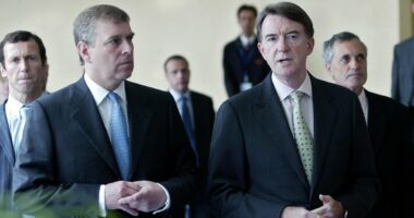 Mandelson 'helped Andrew get trade job against wishes of Charles'