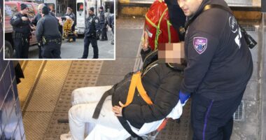 Maniac who allegedly pushed woman onto NYC subway tracks, punched straphanger, also slugged teen girl during rampage