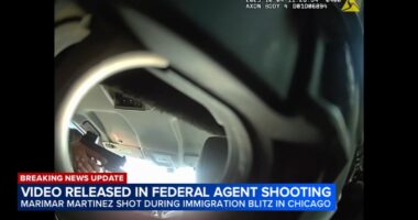 Marimar Martinez shooting: Chicago woman shot by Border Patrol shooting in Brighton Park to file lawsuit