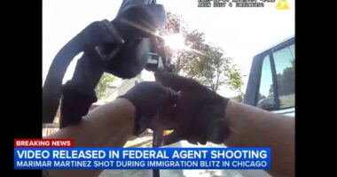 Marimar Martinez shooting: Video released of Border Patrol shooting in Chicago