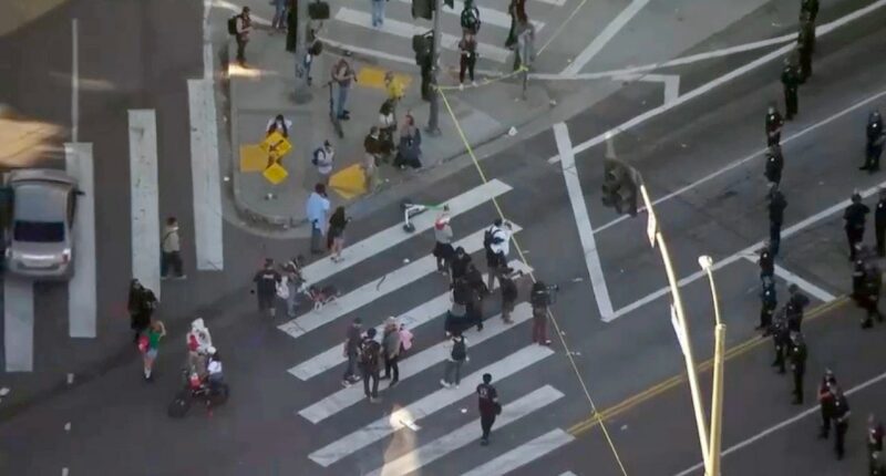 Massive student immigration protest turns violent in downtown LA, dispersal order issued: police