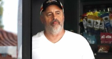 Matt LeBlanc is nearly unrecognizable after Super Bowl ad