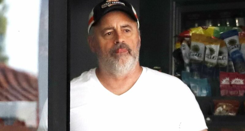 Matt LeBlanc is nearly unrecognizable after Super Bowl ad