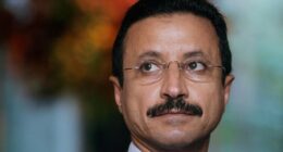 Meet the high-profile Emirati business leader lawmakers are linking to Epstein ‘torture’ email