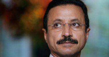 Meet the high-profile Emirati business leader lawmakers are linking to Epstein ‘torture’ email